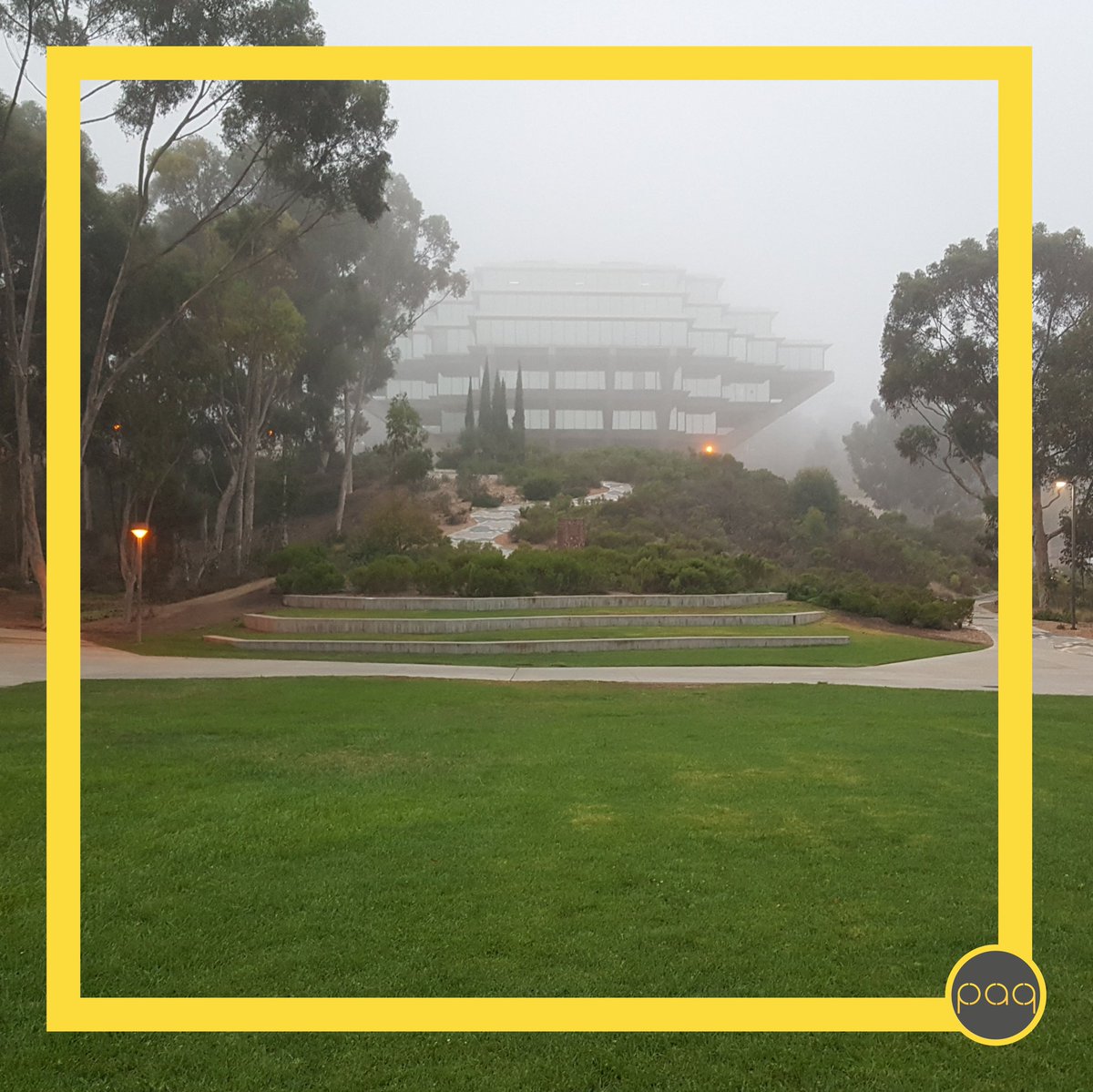 paqwear's tweet image. good morning from UC San Diego!

#ucsd #goodmorning #geisellibrary