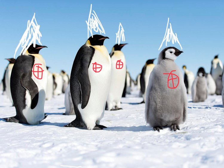 LordPenguin8's tweet photo. @RobertMarsL @sayacully @_davidnrobinson @rocknrollajc @kshaf35 #PenguinSupremacy #Antarctica 🇦🇶🇦🇶🇦🇶🇦🇶🇦🇶🐧🐧🐧🐧🐧🐧🐧🇦🇶🇦🇶🇦🇶🇦🇶🐧🐧🐧🐧🐧🐧 https://t.co/uXAFBowUDf