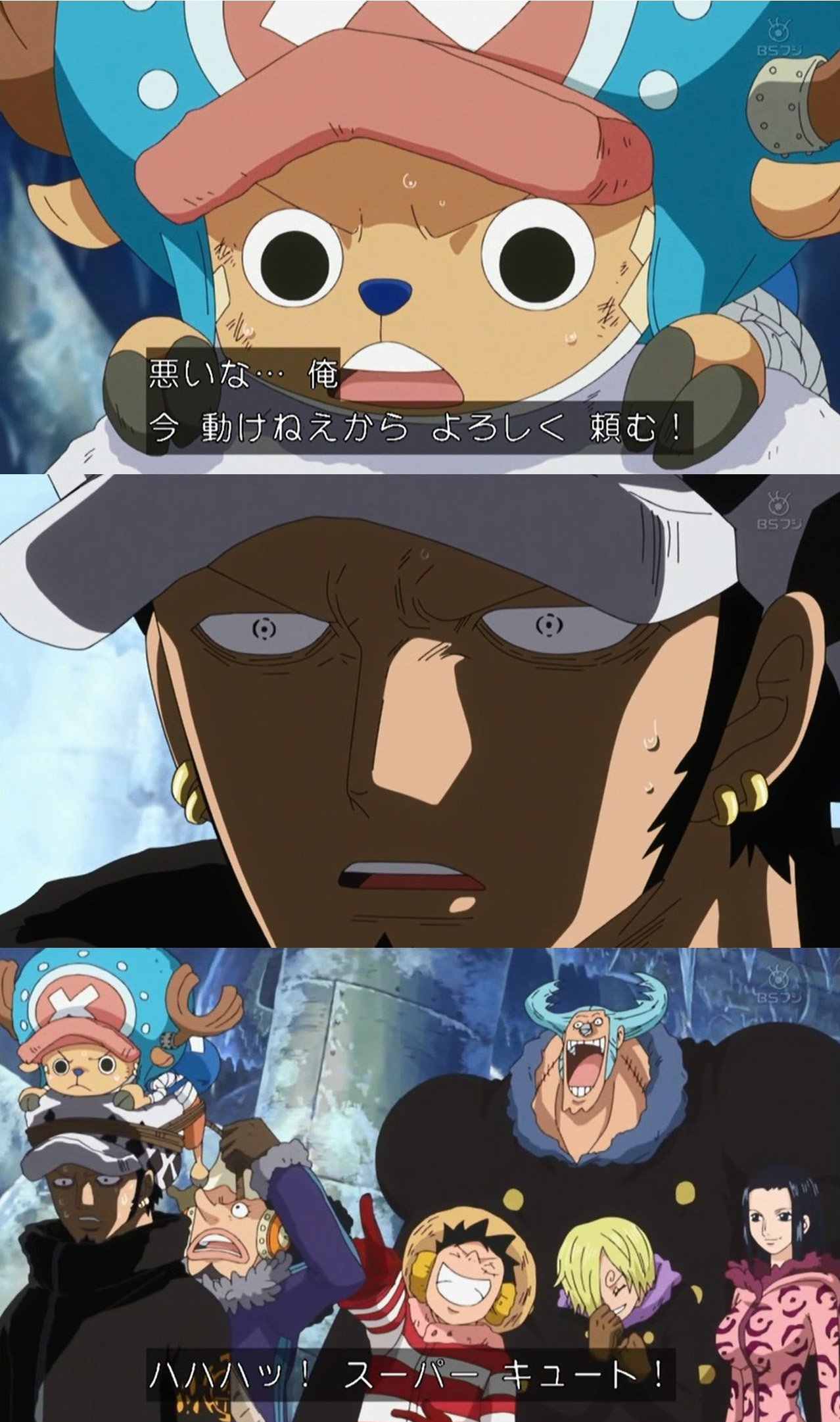 嘲笑のひよこ すすき トラ男とチョッパーの医者コンビ Onepiece ワンピース T Co 8dwqcbbo9z Twitter