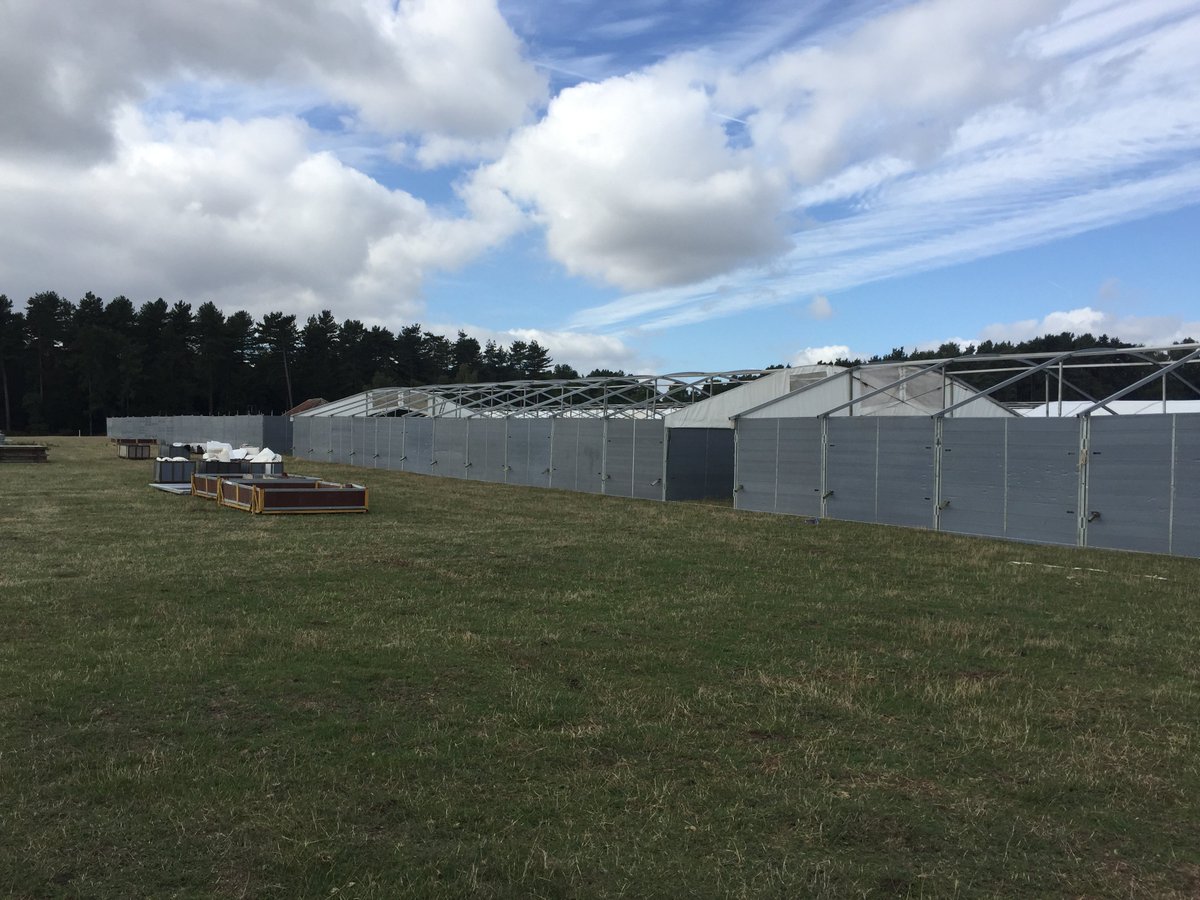 Barn Stable build well under way, with first load complete for Osberton International Horse Trials 2018 <a href="/bedeevents/">Bede Events</a>!