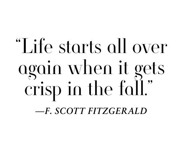 FullStopPR's tweet image. 