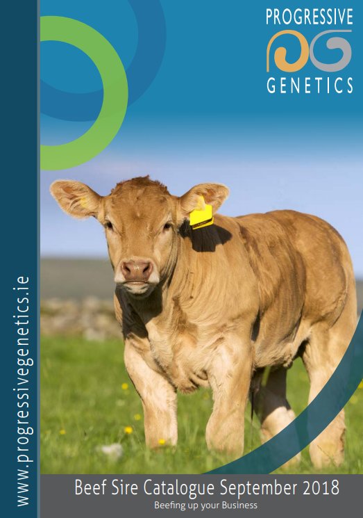 progressivegen's tweet photo. Beef Sire Catalogue September 2018 is now available online.
FUTURE STARS like:
⭐Cross Liam LM4591
⭐Clenagh Mischief CH4637
⭐HW Farghal AA4640
https://t.co/HSnmvW5nCD
#AgIE #Farm #Sucklers #PGBred #IrelandGenetics #CountryLife #Cows #CowLife #showcattle #showcattlelife https://t.co/Q7nV4oEjmx