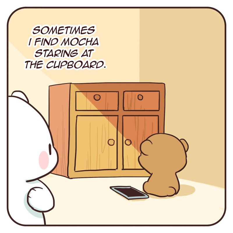 View Milk And Mocha Bears Pictures