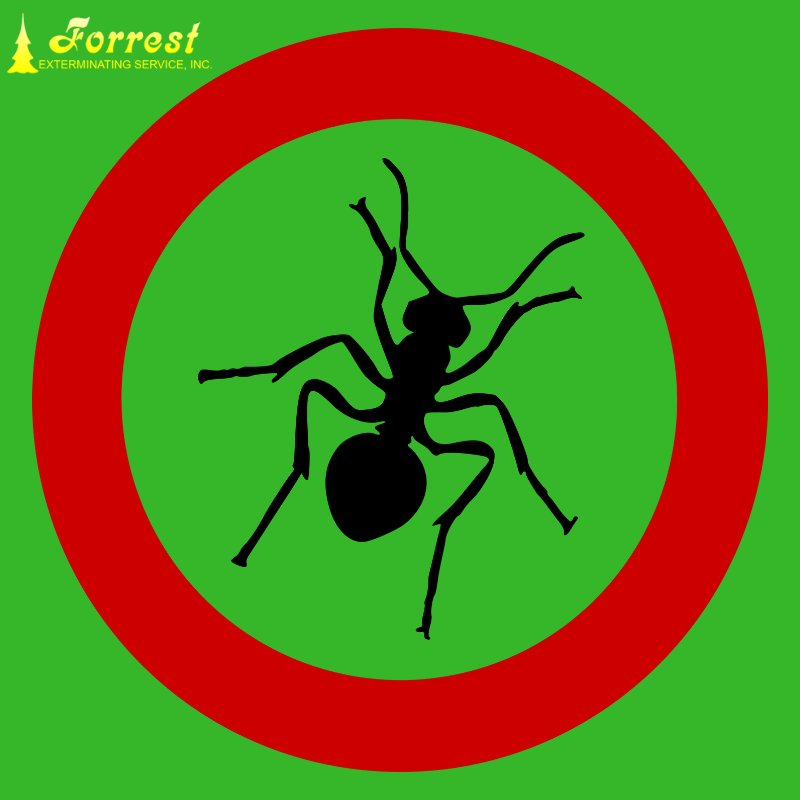 ForrestExterm's tweet image. As we watch for the storm to come it is important to remember during hurricanes and tropical storms, pest are looking for protection too. Is your home unprotected? Call 866-527-4610 today to schedule! #pestcontrol #moisturecontrol forrestexterminating.com