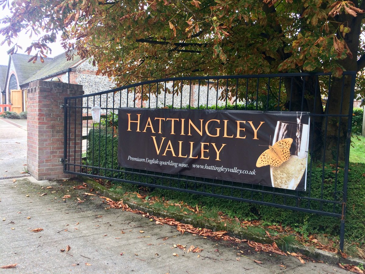 Florian_MLP's tweet photo. Winery#HattingleyValley#DayTrip#Champagne#Bubbles#Cheers🥂 @NicolasPlanty @ISSGreatPeople @MarcinJoze @iamivank @ISSFrontofHouse @Foodexcellence @jasonwgoddard @EnotriaCoe @hattingleywines https://t.co/knsss0SpJM