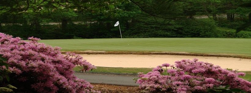 VisitHickoryNC's tweet image. 29th Annual Golf Classic at Lake Hickory Country Club at Catawba Springs Sept 29. Shot Gun starts at 8a and 1:30p. catawbachamber.chambermaster.com/events/details… #myhky #hickorymetrofun #hickorync #golf