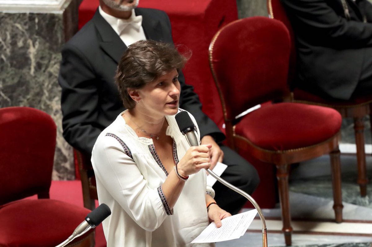 RoxaMaracineanu's tweet photo. Première intervention à l’Assemblée. Un moment fort. https://t.co/PpAIAY0eEc
