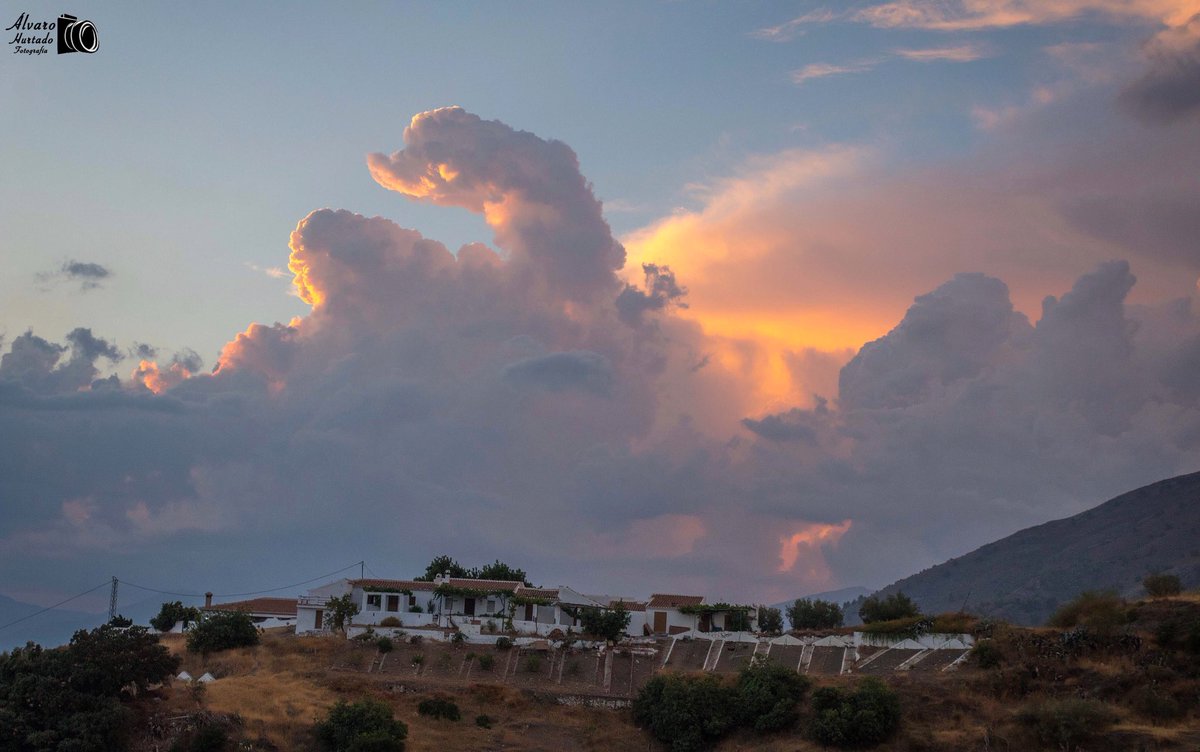 alvarohurtadof1's tweet photo. Atardeceres de la #axarquia #malagueña en #canillasdeaceituno
Precioso #paisaje con estos #paseros y la formación de #nubes https://t.co/jHGb3CYaow