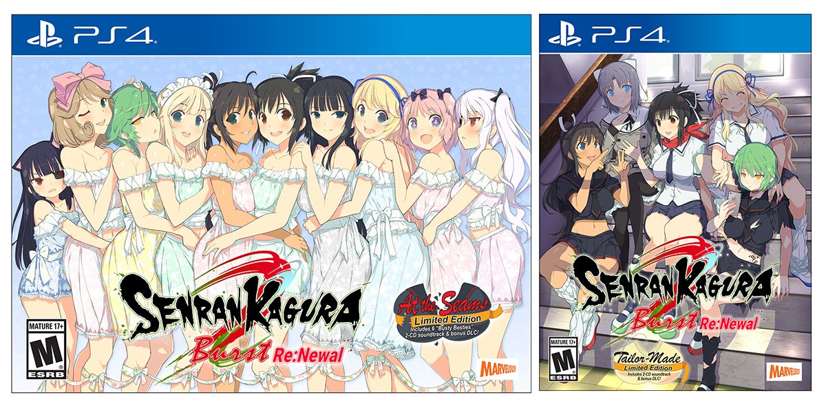 SENRAN KAGURA Burst Re:Newal — Tailor-Made Edition