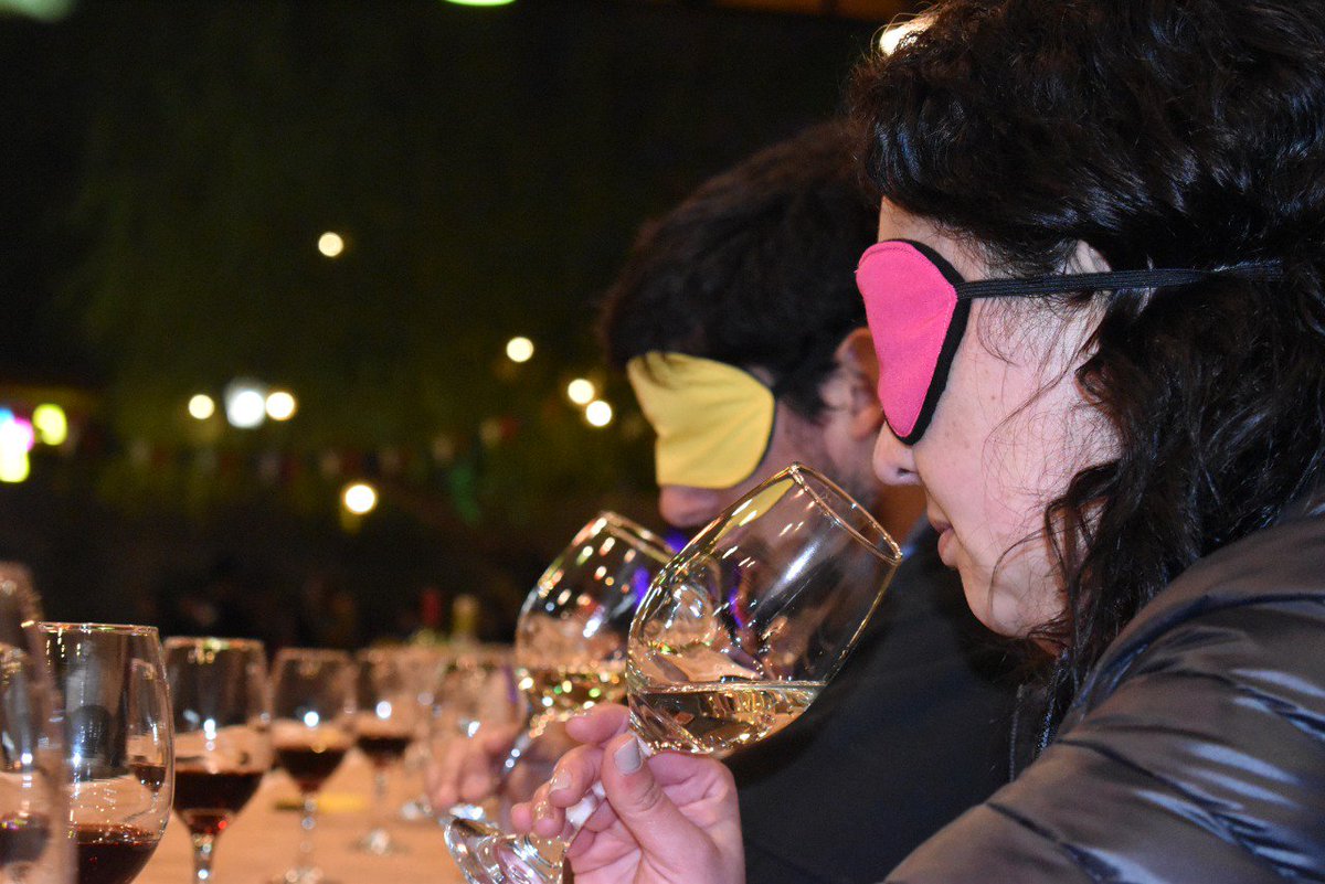 _Inclub_'s tweet photo. El día 7 de sept. participamos en la celebración del día nacional del vino, organizada por @SernaturMaule  y realizamos nuestra primera cata de vino a ciegas.  Con pequeños detalles podemos hacer grandes cosas.  #turismoparatodos #turismo #discapacidadvisual https://t.co/QAkD3XeyNv
