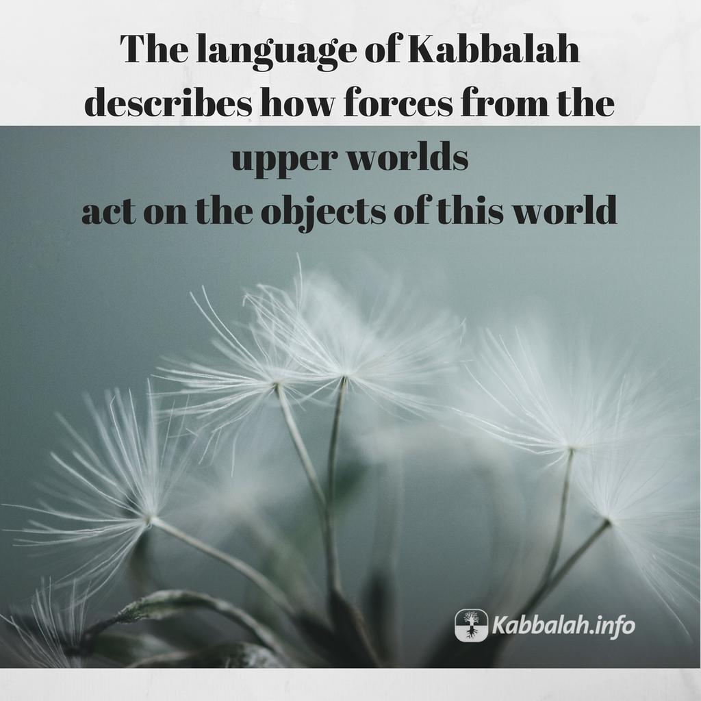 Kabbalahinfo's tweet photo. The language of Kabbalah describes how forces from the upper worlds act on the objects of this world

Online Kabbalah course >> https://t.co/4XN63x3rnr

#forces #upperworlds #spirituality #guide #kabbalah #quoteskabbalahinfo #wednesdaywisdom #QuoteoftheDay #world #language https://t.co/JyMgKui2gM