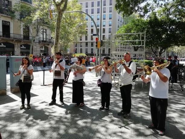 Enguany hem acompanyat de nou els Gegants del Tricentenari durant els actes de la #Diada2018.