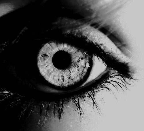 Blind_psychic's tweet photo. RT et j'essaierai de lire ton avenir... Du moins, si tu en as un. https://t.co/orEm5Nhdly