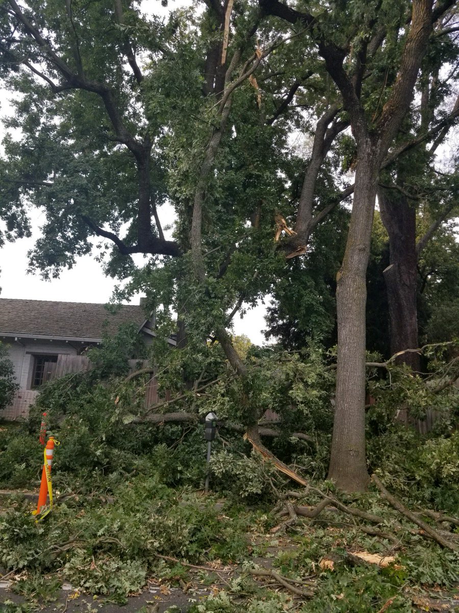 Sac_Hist_Parks's tweet photo. The State Indian Museum in Sacramento will likely open late today Sept 12. We arrived this morning to find this! A tree contractor is on site and we'll ensure that the building and grounds are safe before we open things. https://t.co/Hb60eV2BUl