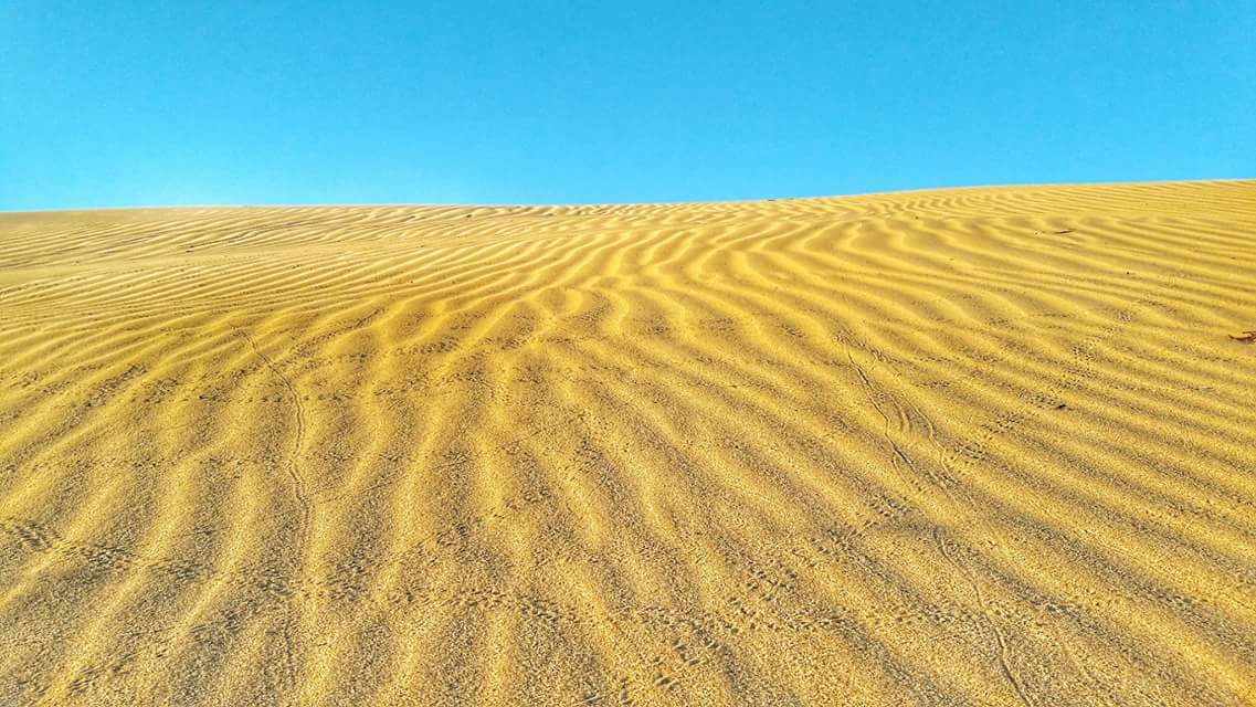 ¡Vamos a tirarnos en la arena!