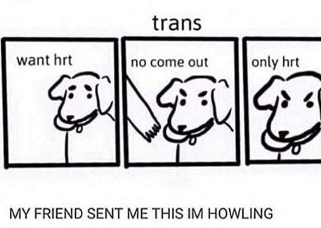 LGBTQIA_Rainbow's tweet photo. No come out, only HRT 😡 🏳️🌈
◾
-Russell
◾
#LGBT #LGBTQ #LGBTI #LGBTA #Lesbian #Gay #Bisexual #Bi #Transgender #Trans #Pansexual #GenderQueer #Intersex #Asexual #LoveisLove #Transgender #Genderfluid #LoveWins #Queer #Transman #Transwoman #NonBinar… https://t.co/YMgSDcS6sX https://t.co/JTn4ttX3SB