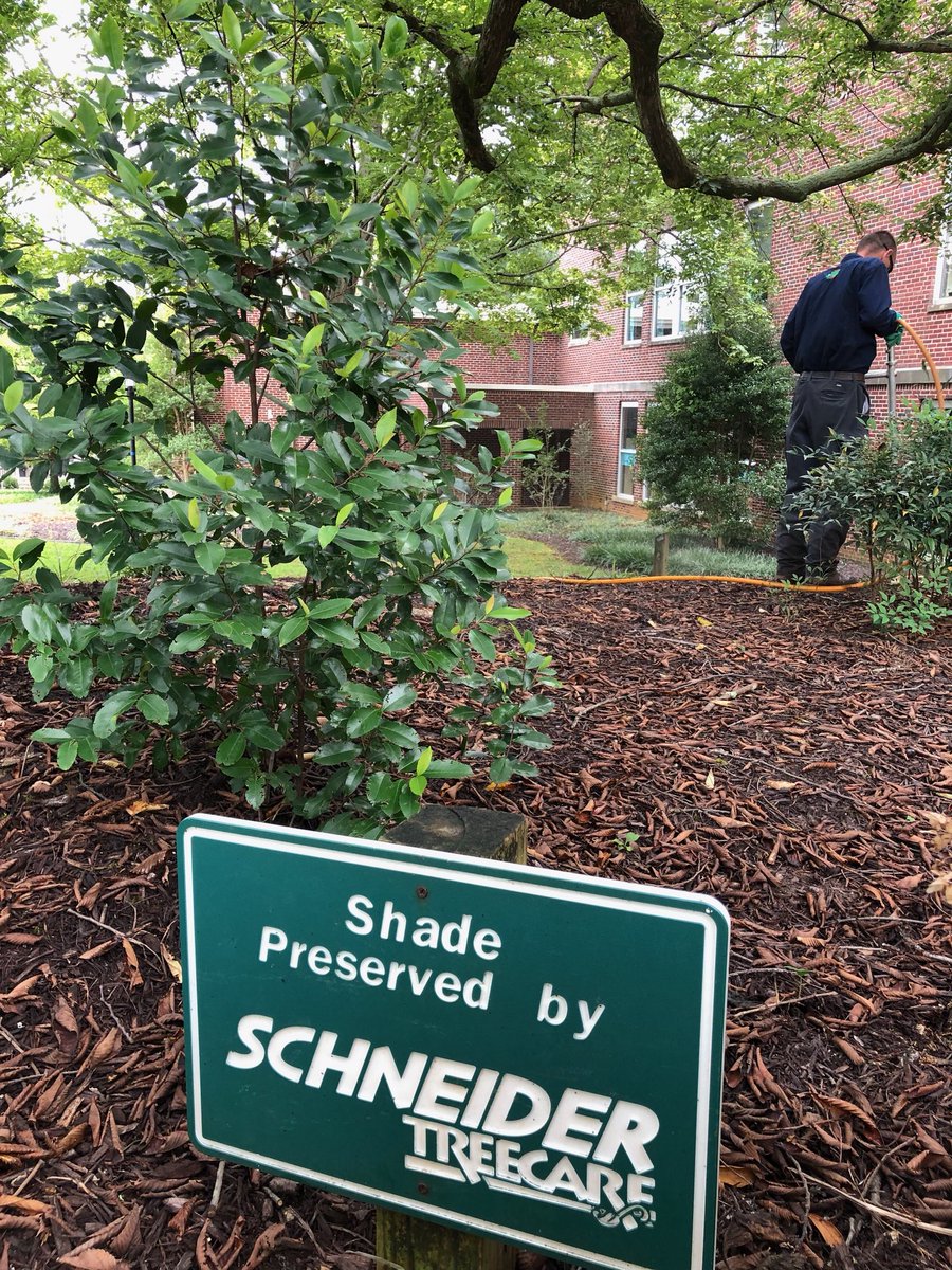 Preserving your shade is what we do. Want to know how you can keep your trees and shrubs healthy? We can help. 

#treecare #shrubcare #treeandshrubcare #preservation #shade #trees #treework #nutrients #ifyouloveyourtrees #lovewhatyoudo