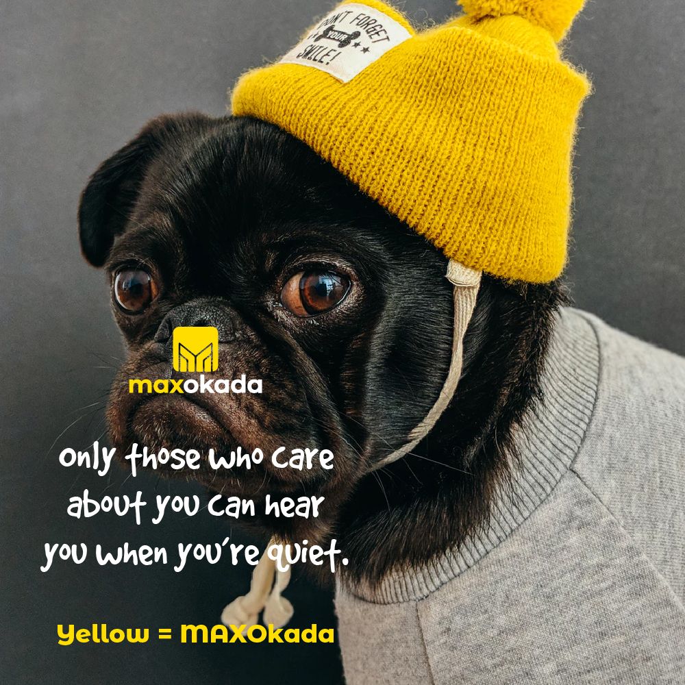 maxdrive_ai's tweet photo. MAXOkada is passionate about making Lagos better.
That's why we take care of all the other details so you can focus on enjoying your ride to all your destinations.
#MAXOkada #MAXisYellow #YellowLagos https://t.co/c8bOdUQRcs