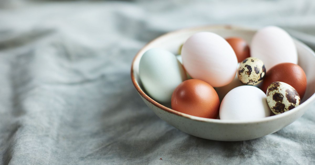 Our dedicated, specialist farmers are passionate about
poultry, guaranteeing our beautiful birds receive the highest level of care  #BackBritishFarming #proudtoproduce <a href="/NFUTweets/">National Farmers' Union</a>