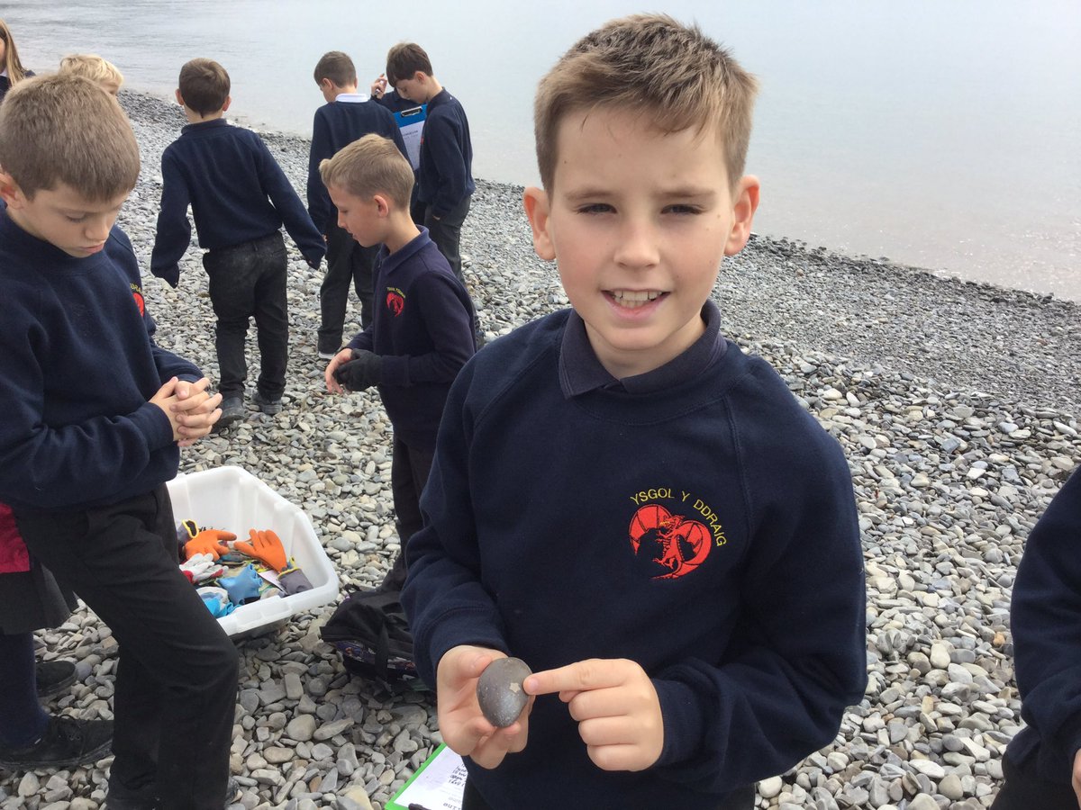 ysgolyddraig's tweet image. #y5 #caerdydd #fantasticfossils LG finding a &apos;starfish&apos; fossil @Cornerstonesedu @Museum_Cardiff at Porthkerry Park