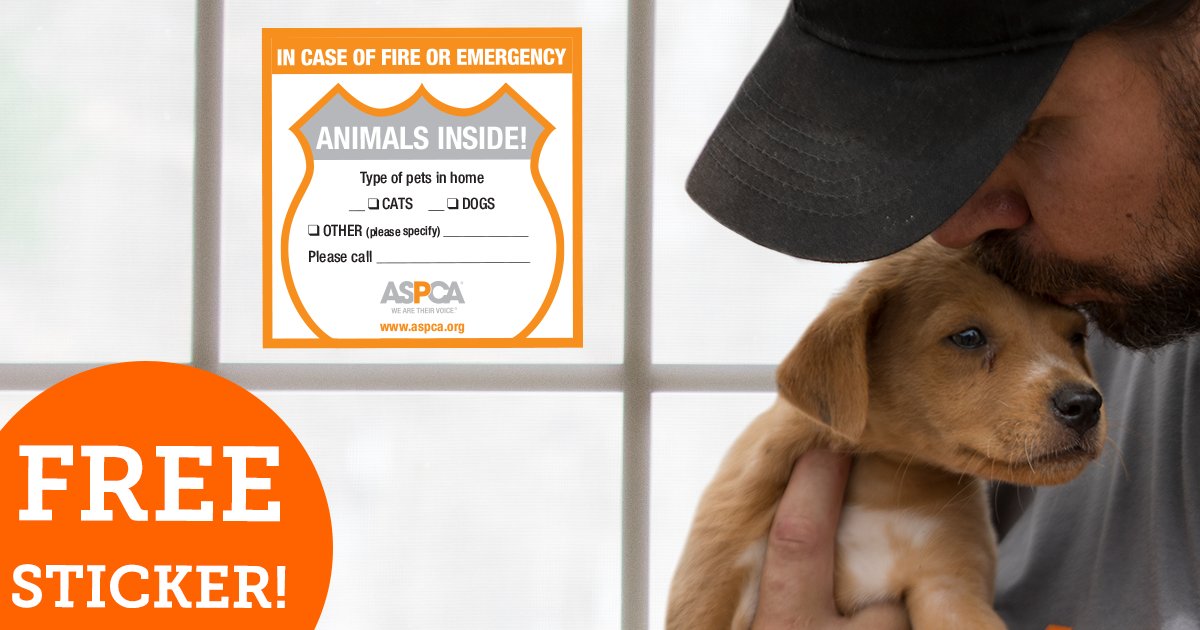 TeamASPCA tweet media