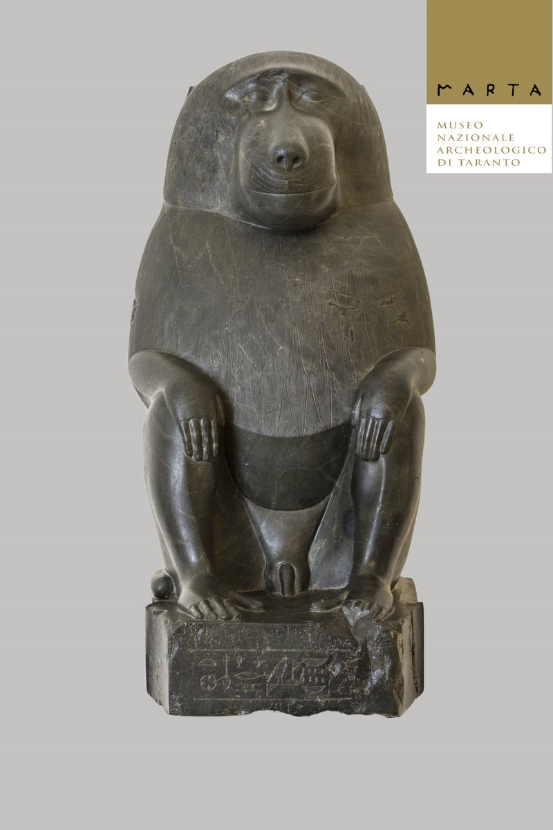 MuseoEgizio's tweet image. Vi consigliamo un visita al @museo_MARTA, che conserva una delle più importanti collezioni della Magna Grecia... anche solo per vedere questa statua di Thot (ma si sa, noi siamo di parte)!
#museidegni