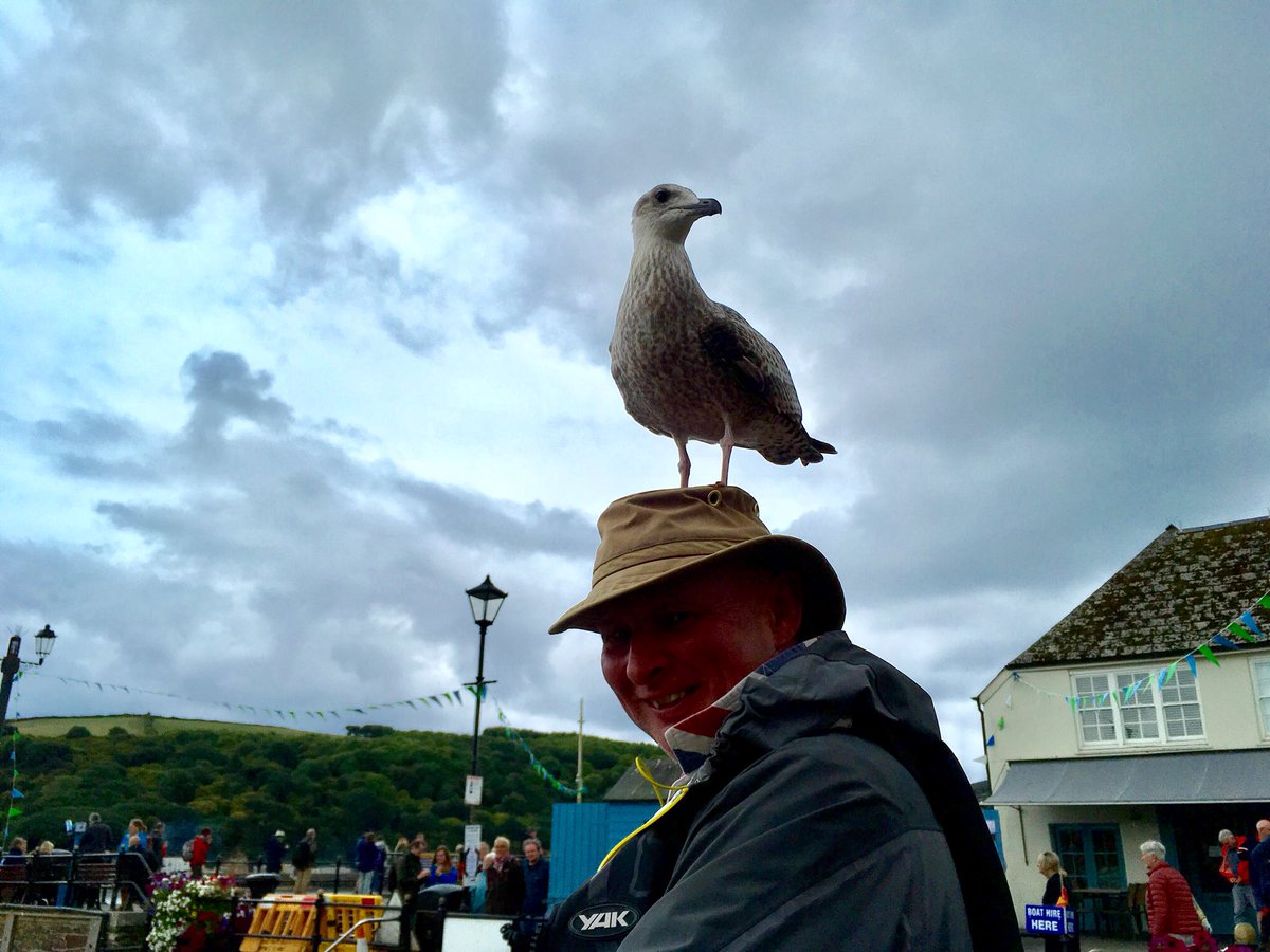 Encounter Cornwall (@kayakcornwall) on Twitter photo You know we say we get close to the wildlife? This one decided to wait for an opportunity to get David’s pasty, so climbed up for a better vantage point.... #guidedtour #fowey #pastystealer <a href="/FoweyInfo/">Fowey Visitor Info</a> <a href="/FishermansFowey/">Fishermans Arms</a> @CwallWildlife You know we say we get close to the wildlife? This one decided to wait for an opportunity to get David’s pasty, so climbed up for a better vantage point.... #guidedtour #fowey #pastystealer <a href="/FoweyInfo/">Fowey Visitor Info</a> <a href="/FishermansFowey/">Fishermans Arms</a> @CwallWildlife