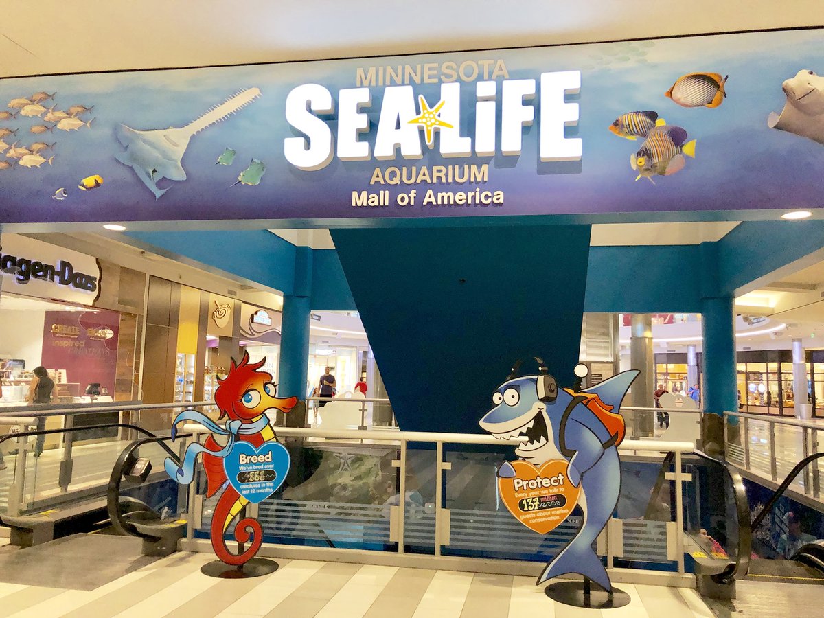 patagonia at mall of america