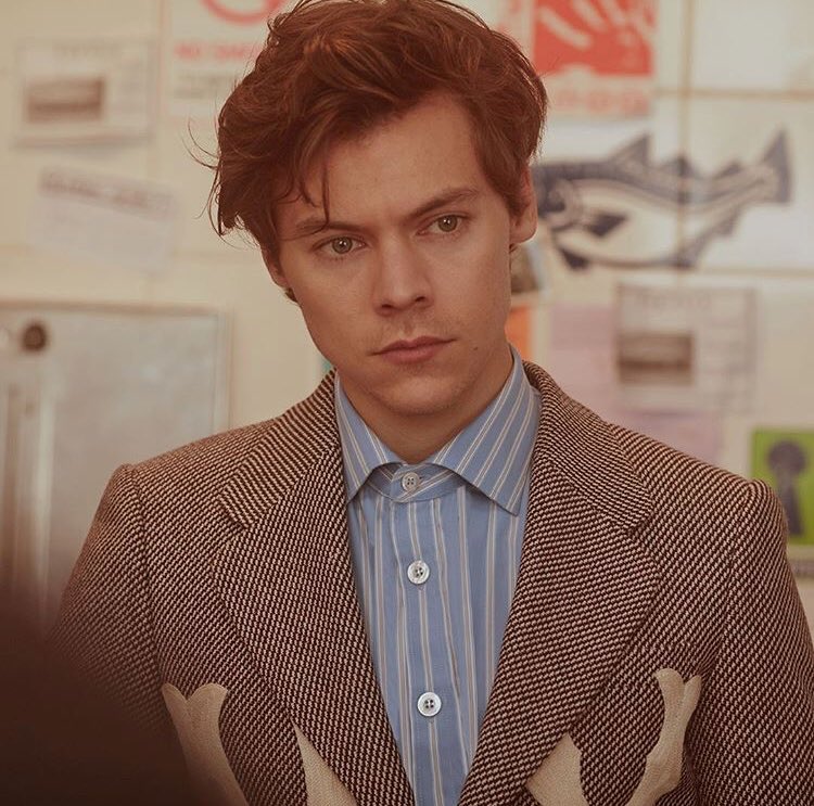 harry styles gucci tailoring campaign