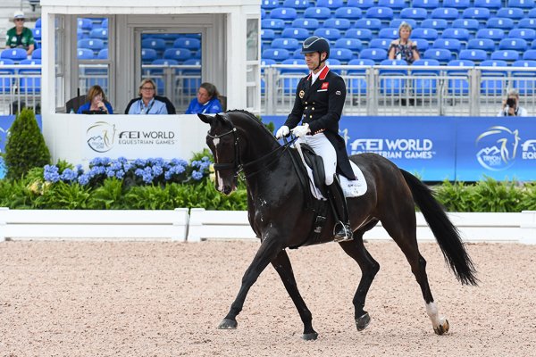 Britain off to solid start in the WEG dressage dlvr.it/QjzDLZ