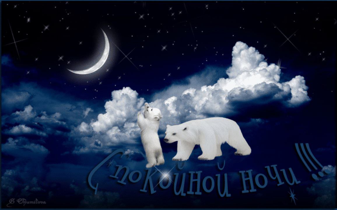 Открытки доброй ночи малыш, птицы небе
