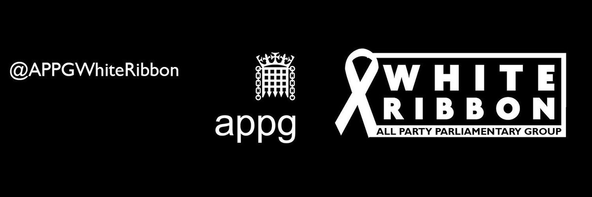 Congratulations to @GavNewlandsSNP &amp; <a href="/TracyBrabin/">Tracy Brabin WY 🌹</a> on being elected co-chairs of <a href="/APPGWhiteRibbon/">APPG White Ribbon UK</a> 

Was a pleasure to speak at the AGM of my experiences as a Local Gov ambassador &amp; the various ways accreditation has had a positive impact on <a href="/medway_council/">Medway Council</a> including in procurement