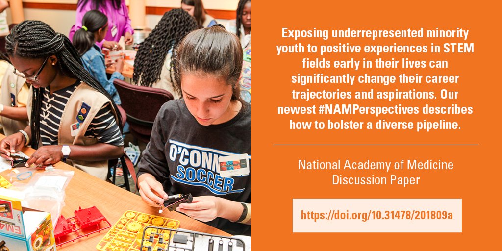 CrystalREmery's tweet image. #NAMPerspectives #ChangingtheFaceofSTEM doi.org/10.31478/20180…