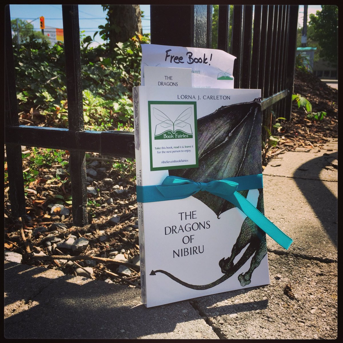 BookFairies_TO's tweet photo. This signed copies of Canadian author, Lorna J. Carleton’s The Dragons of Nibiru 🐉 is hiding out on the York Mills Second Cup patio.
#ibelieveinbookfairies
#thedragonsofnibiru #lornajcarleton #dragonsofnibiru #fantasybooks https://t.co/6J9dAAE4hg