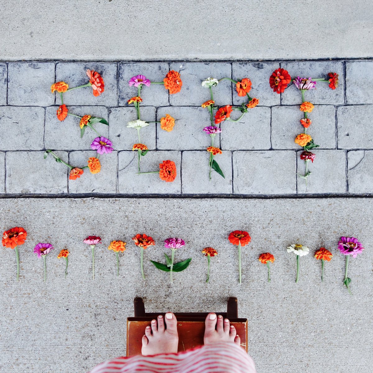 magic_of_simple's tweet image. For me, this year has meant: 
✨less screen, more silence
🌾less worry, more wonder
✨less crazy, more clarity
🌾less judgement, more generosity
✨less perfection, more producing magic
🌾less catching up, more s l o w .
//
Soooo, after all kinds of quiet... I'm back!!!