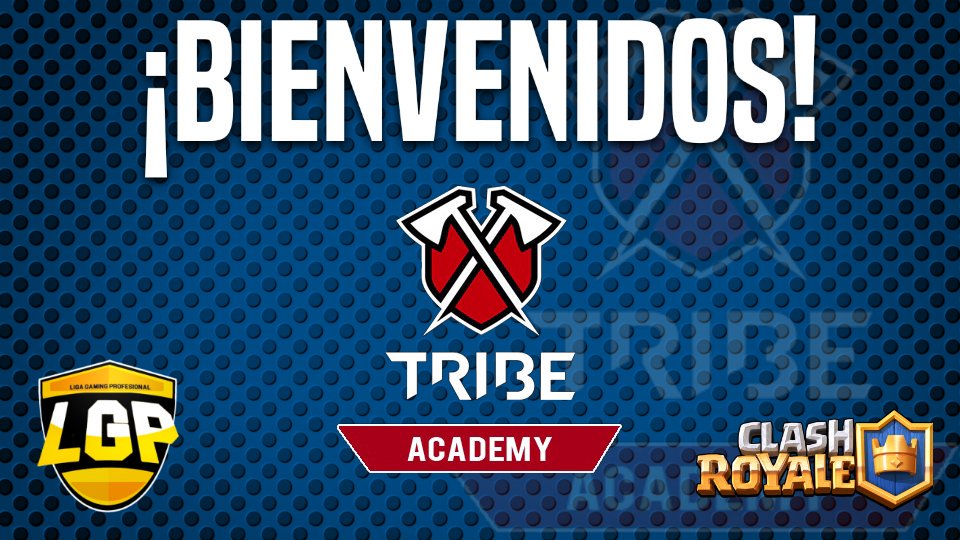 Liga Gaming Profesional tweet media