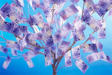 tryfixit's tweet photo. If only!!! But since money does not grow on trees, visit https://t.co/ILbXUYYi8n for more information on car repair financing. No credit check, no proof of income! 
#carrepairs #loans #repairfinancing #badcredit #nocredit #fixitfinancial https://t.co/U1u7z3W0ug