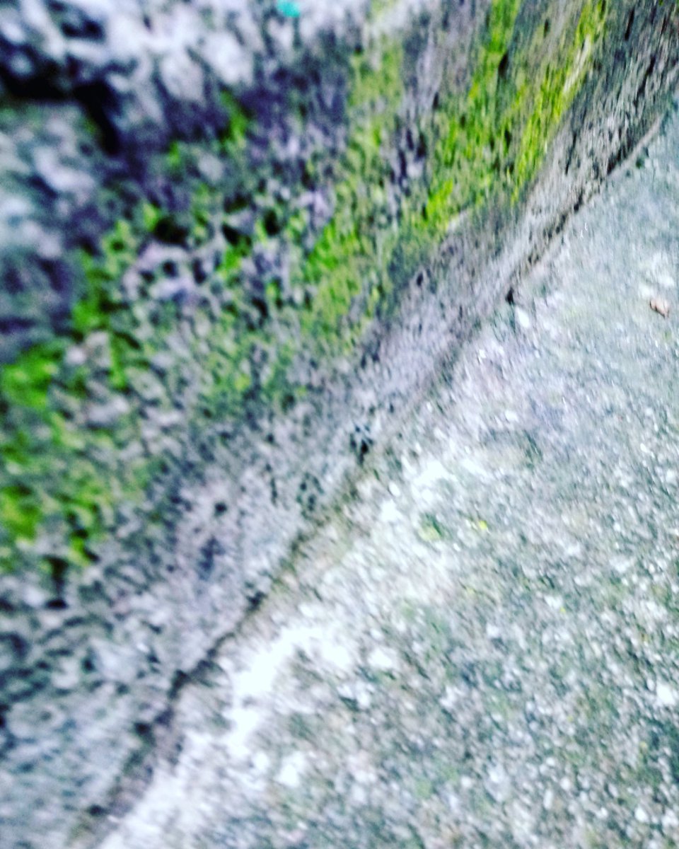 CsarHDJs1's tweet image. Cuentan historias que el viento le susurro...