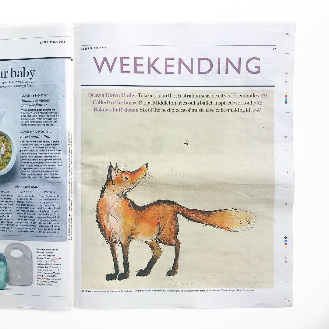 catherinerayner's tweet photo. ‘Seeing Red’ - the reaction to my little painting of ‘Rebecca’ the Fox in @waitrose #weekendpaper has been HUGE! (You can still get your copy from Waitrose stores, uk.) Rebecca &amp; friends are in my current exhibition @biscuit_factory. https://t.co/S6Am38A3ce