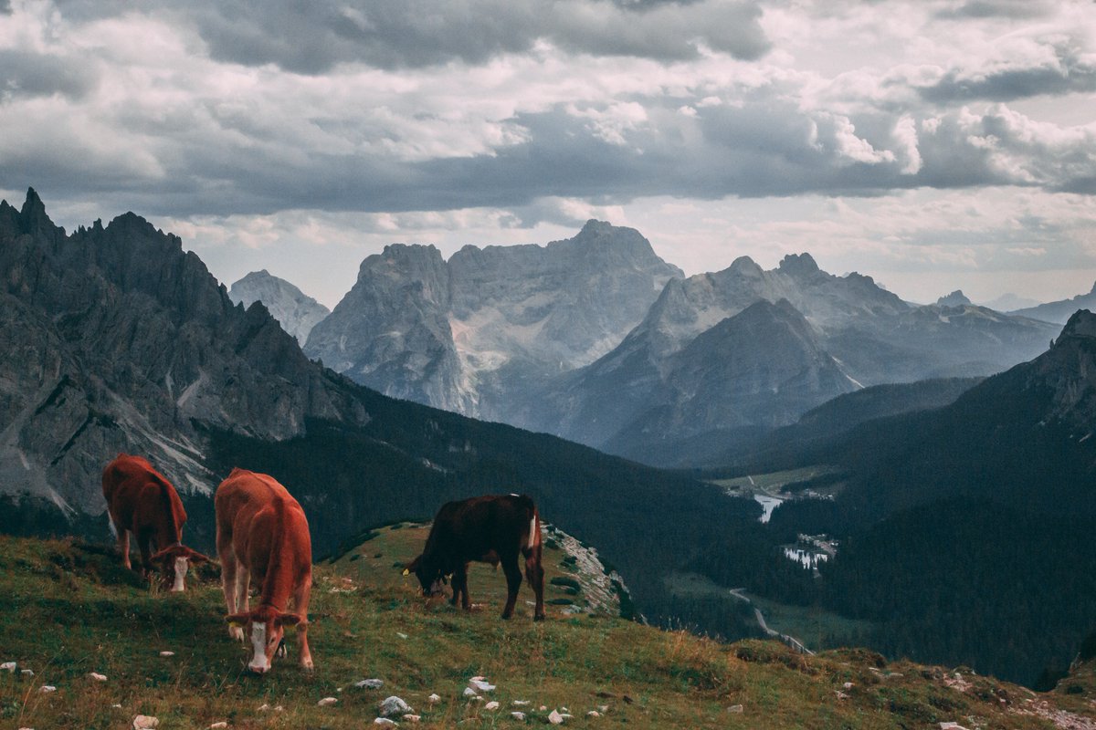 Kino Alyse On Twitter A2 Passionpassport Balance I Adore The