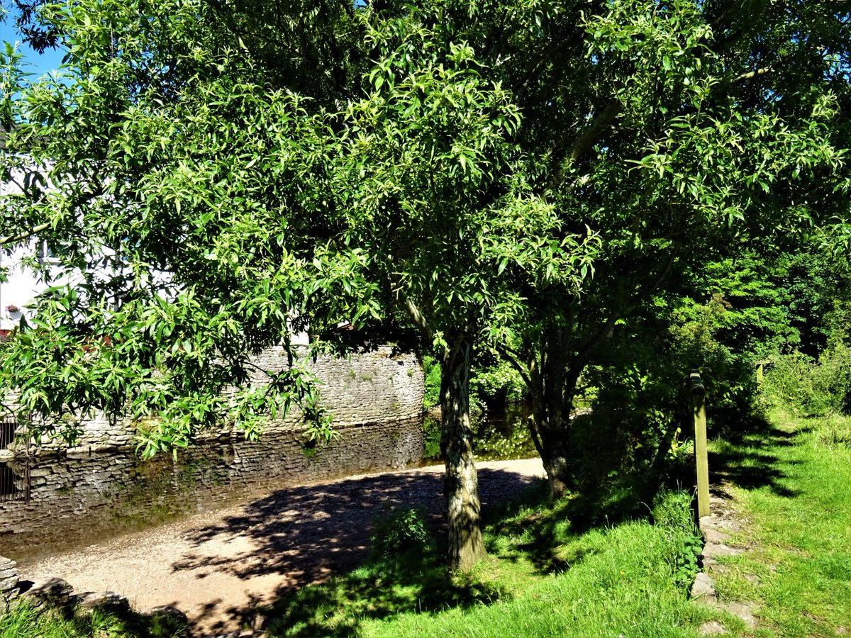 VisitUpperEden's tweet photo. There's nothing better than having a quiet moment by the river on this #NationalQuietDay something peaceful about #thesoundofwater #rivereden #franksbridge #stenkrith #kirkbystephen #edenvalley #cumbria https://t.co/yHmHirWK8S
