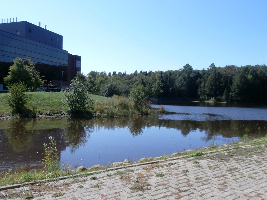 Library4NUCC's tweet image. What a beauty day on campus! #LunchBreak #BigBackyard  @NipissingU @CanadoreCollege