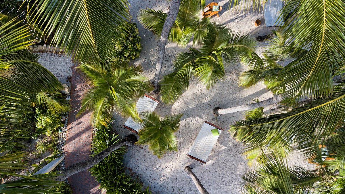 pbcantigua's tweet image. If a hammock by the sea is where you want to be, we know just the perfect place. 😎 #RelaxationMode #PalmTreeParadise