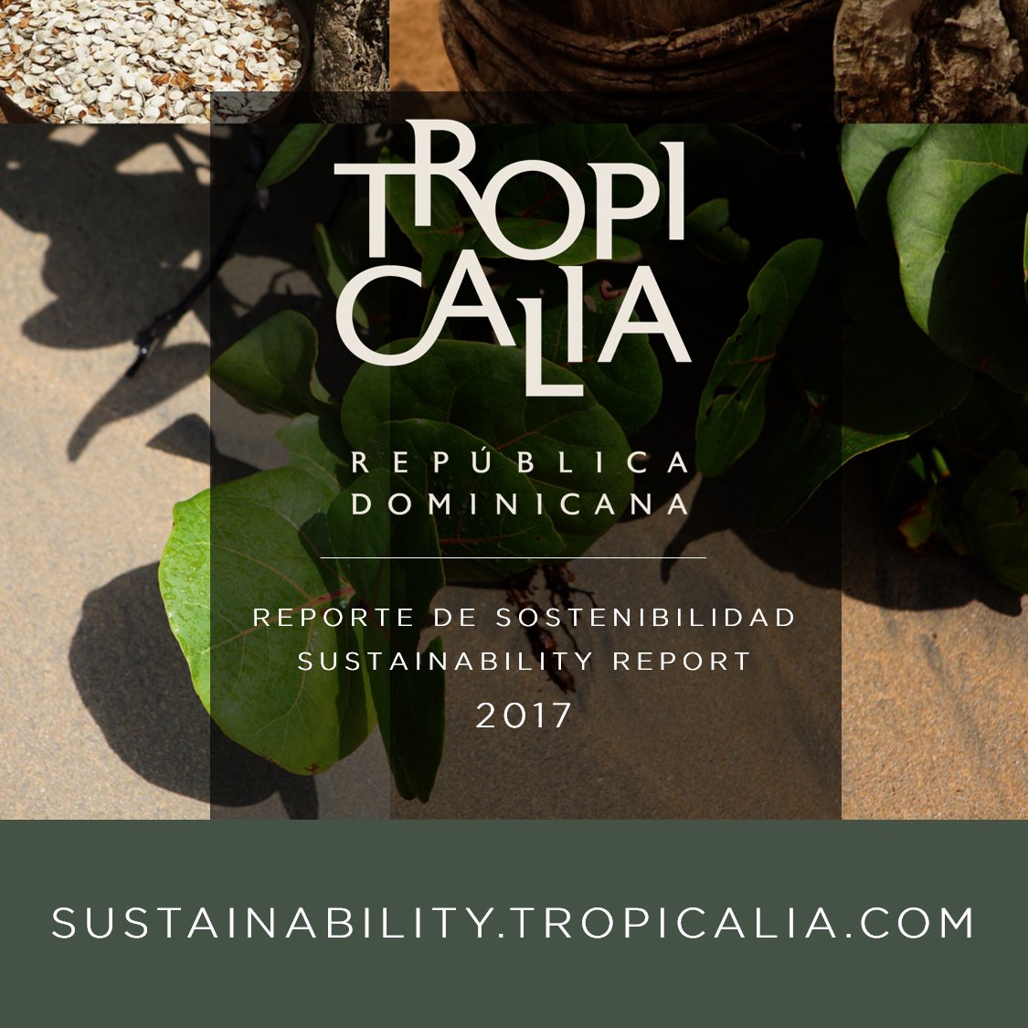 TropicaliaRD's tweet photo. We proudly share the newest edition of Tropicalia's Sustainability Report, in which we present our 2017 achievements.

View our full interactive report at https://t.co/CJszmlDjiC  #TropicaliaReport https://t.co/2Ev5Hyb1C8