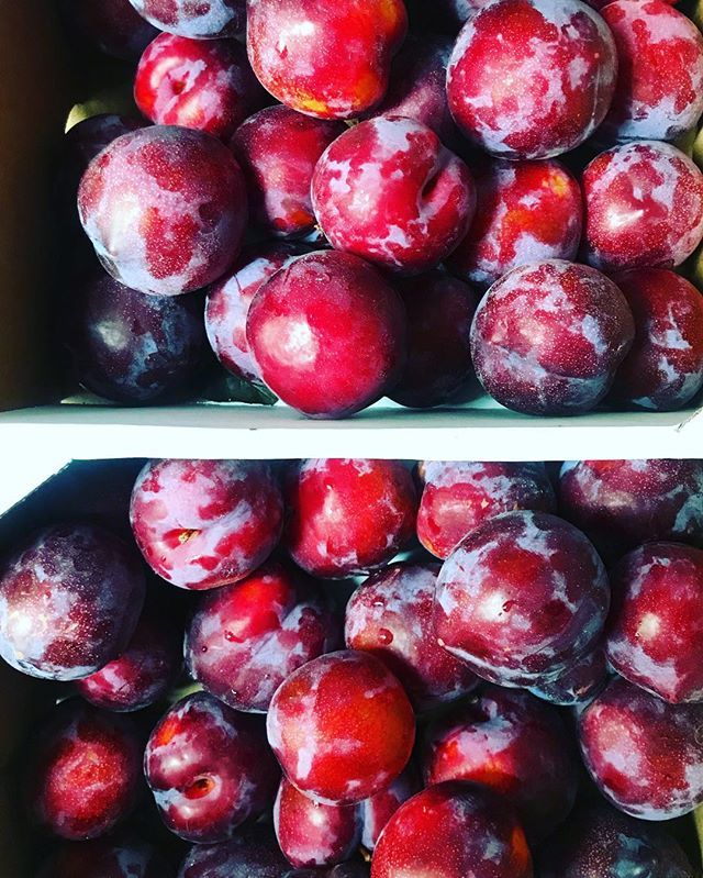fifteen pounds of #plums, hauled from the #UWS to #brooklyn...#sorearmstomorrow #bakingproject #bakingforfriends ift.tt/2NEalCH