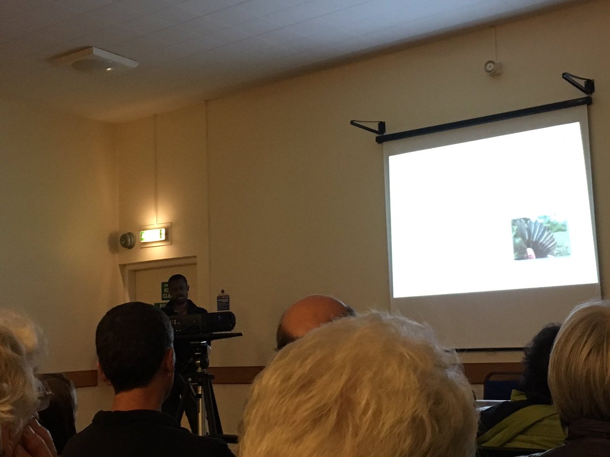 <a href="/ChimaobimNwaogu/">Nwaogu Chima Josiah</a> talks to the St Andrews <a href="/ScottishBirding/">The SOC</a> branch about moult differences in the common bulbul