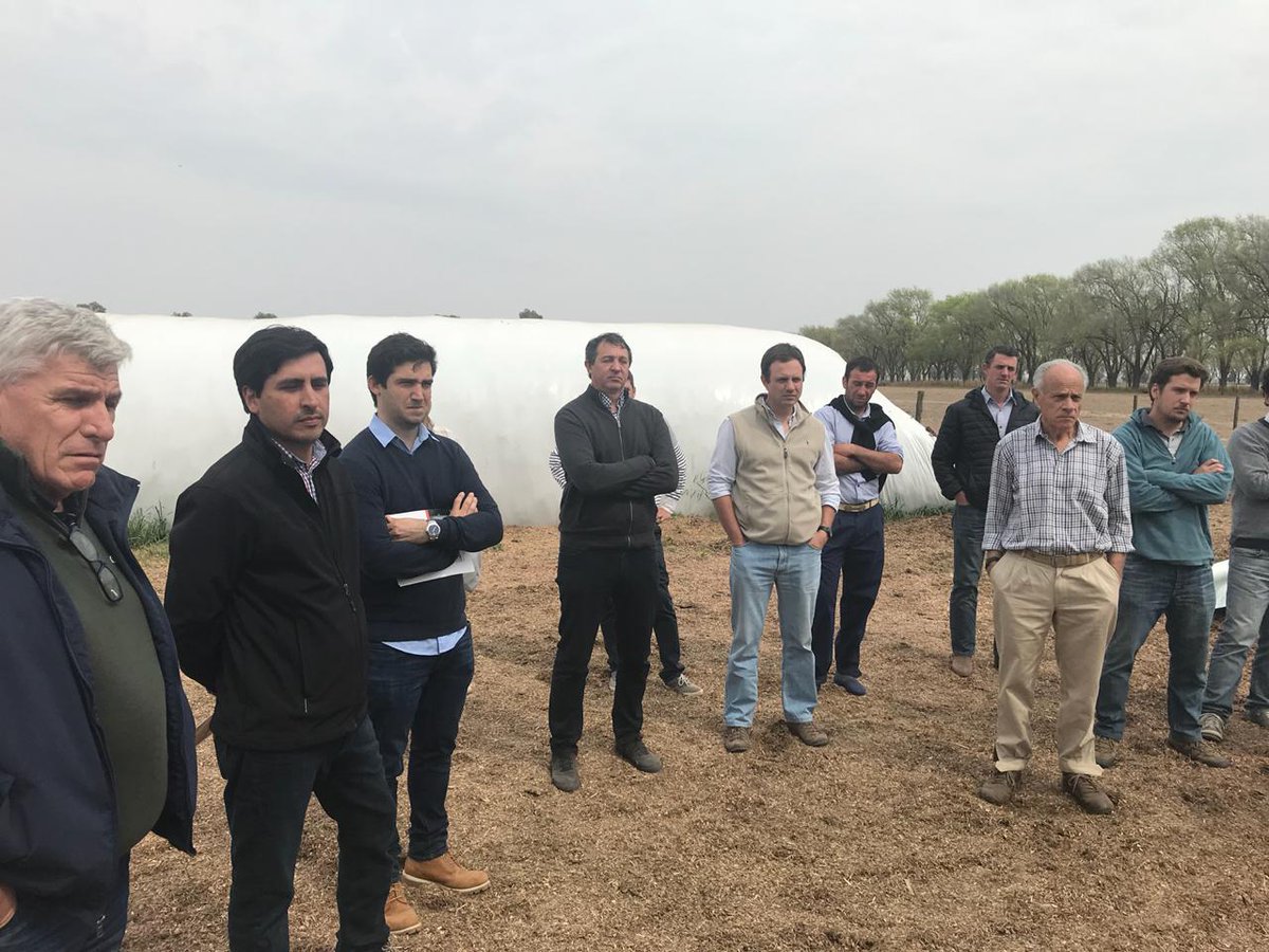 crea_cor's tweet photo. Hoy nuestra Mesa Ganadera estuvo visitando el INTA Manfredi. Silajes de sorgo y maíz. #CREACordobaNorte https://t.co/Pf0WF2x6EX