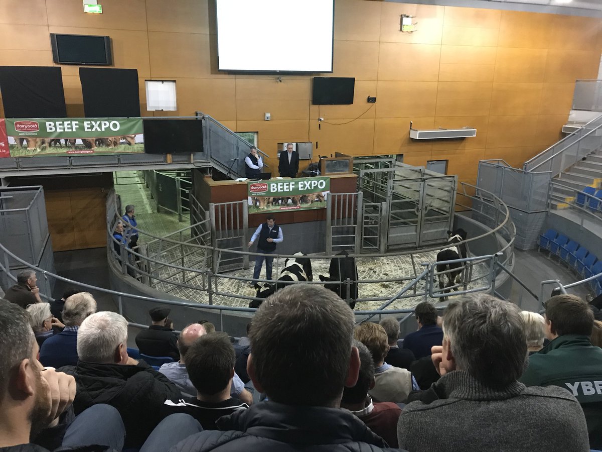 Serious crowd gathered at Fermoy Mart for the <a href="/DairygoldCo_Op/">Dairygold Co-Op</a> Beef Expo 🐂 Cattle grading by <a href="/KepakGroup/">Kepak</a> as well as great advice on how to best to finish your cattle to maximise profit 💰