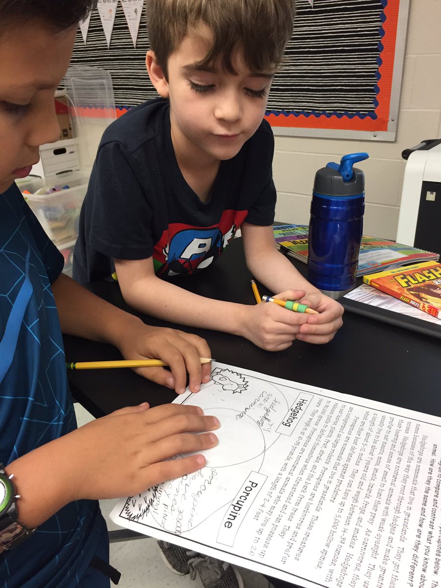 danabickley's tweet image. Working on our #venndiagrams #comparingandcontrasting hedgehogs and porcupines. Our Tweetmaster thought the most interesting thing was that porcupines have up to 30,000 spines and hedgehogs have up to 5,000 spines. #interestingfacts #bickleysblazers