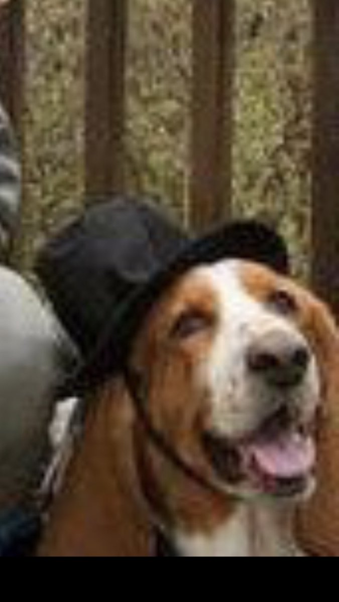 d_buck4's tweet photo. So I looked my name up on FB to see if there were any other people with the same name as me. There weren’t any, but there was a Buckley Delaney. 

And this is his profile picture. 

I can’t breathe. https://t.co/CyGxPDOr4O
